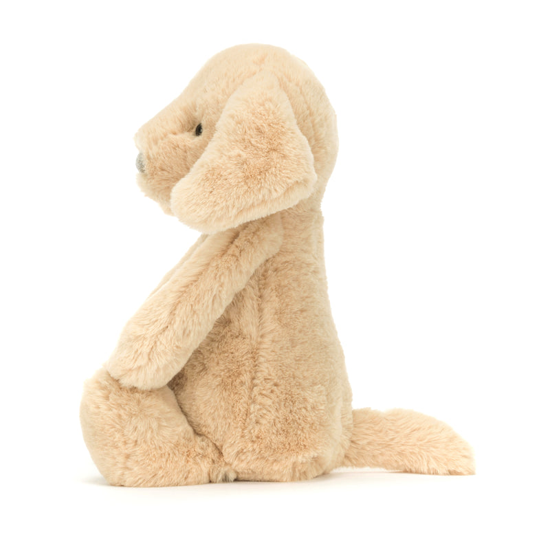 Bashful Luxe  Puppy Orlando