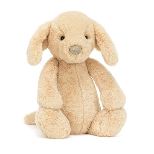 Bashful Luxe  Puppy Orlando