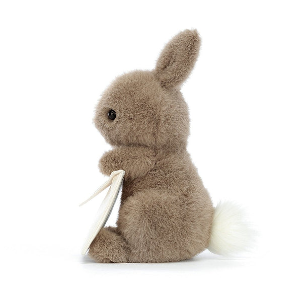 Jellycat - Messenger Bunny - Soft Toy